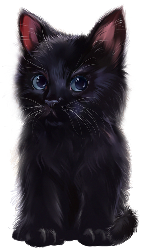 De - Baby Black Cat Png Clipart (457x800), Png Download