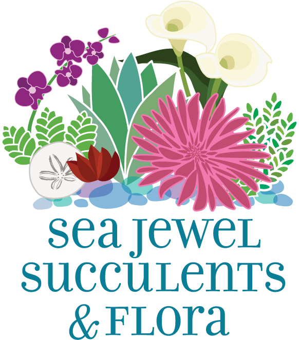 Sea Jewel Succulents & Flora - Succulents Logo Clipart (800x800), Png Download