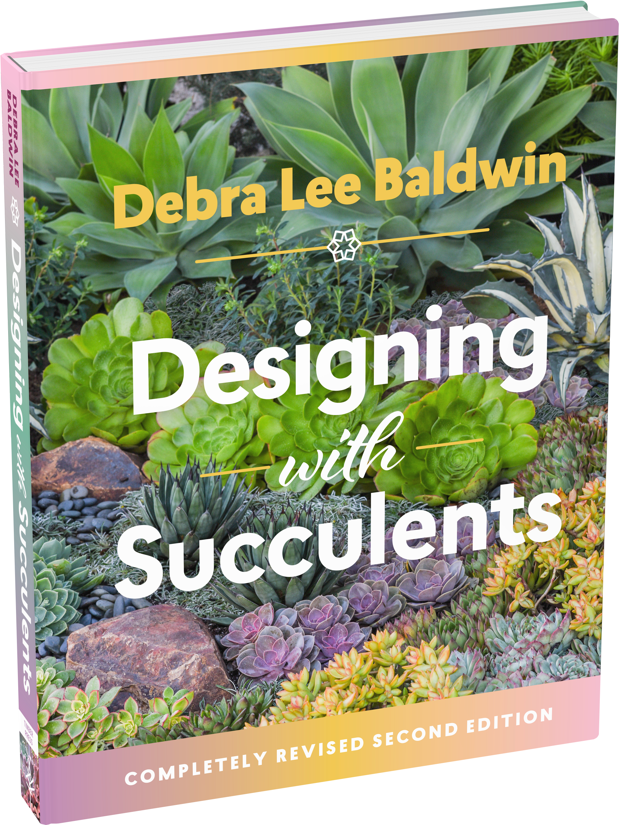 Succulents Png Clipart (2000x2665), Png Download