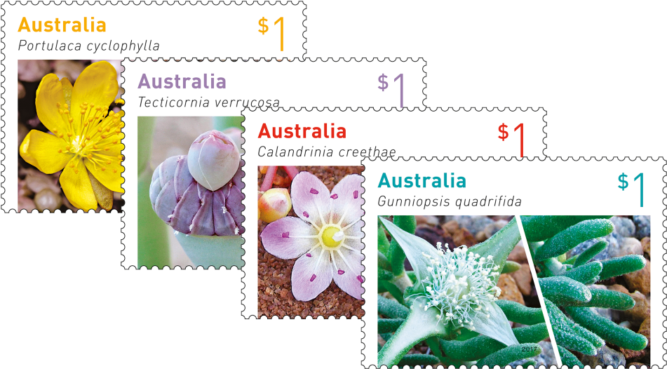 Australian Succulents Set Of Stamps - Australian Stamps 2017 Clipart (970x545), Png Download