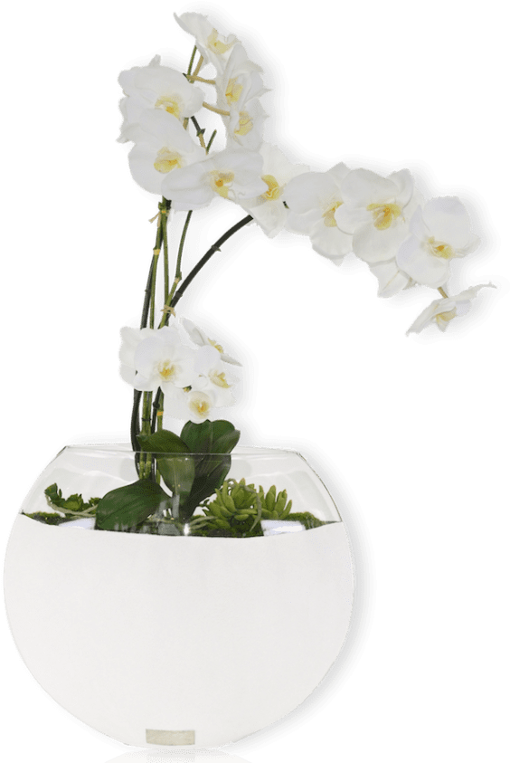 Description - Bougainvillea Clipart (600x844), Png Download