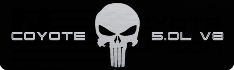 Punisher Skull Clipart (800x800), Png Download