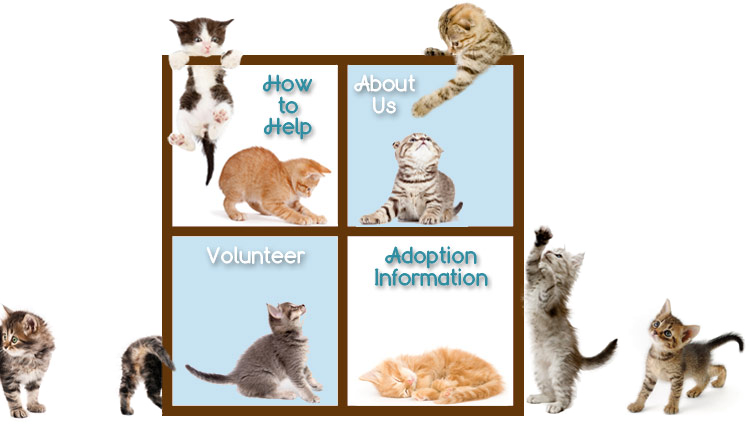 Cat Grabs Treat Clipart (750x426), Png Download