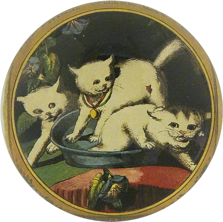 Cartoon Clipart (800x800), Png Download