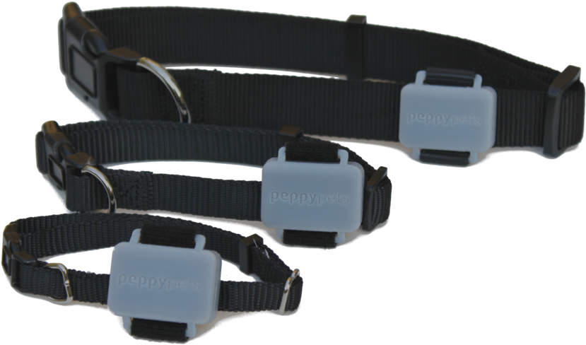 Peppypets Tag On Dog Collar - Strap Clipart (1000x667), Png Download