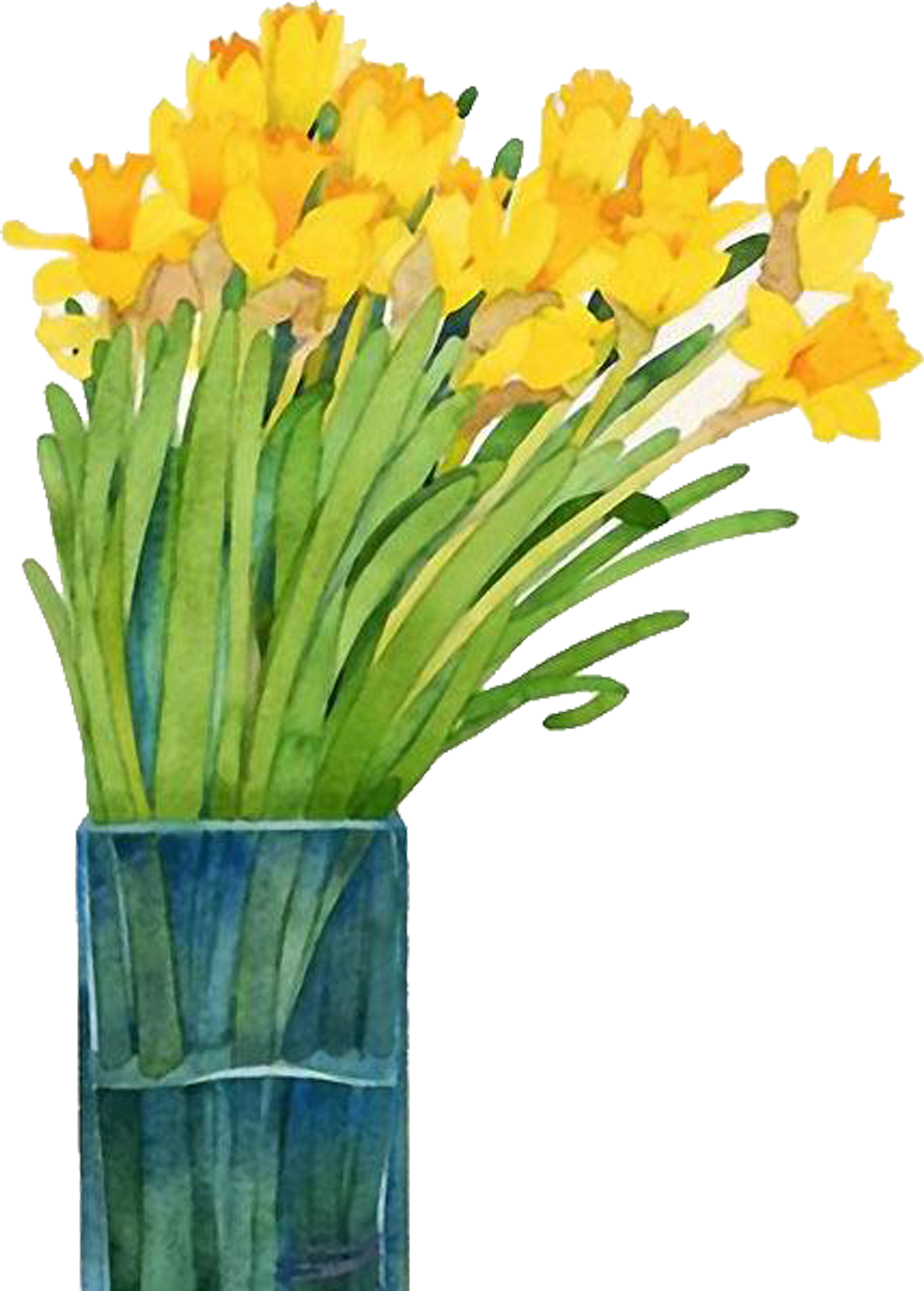 Image Royalty Free Library Narcissus Painting Daffodil - Watercolor Painting Clipart (5000x5000), Png Download