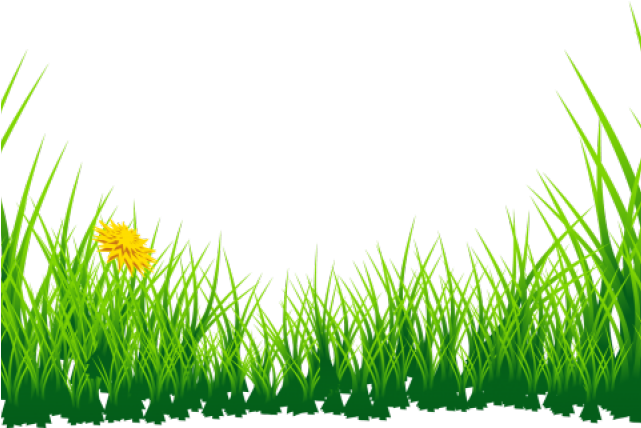 Daffodils Clipart Grass - Grass Images Png Hd Transparent Png (640x480), Png Download