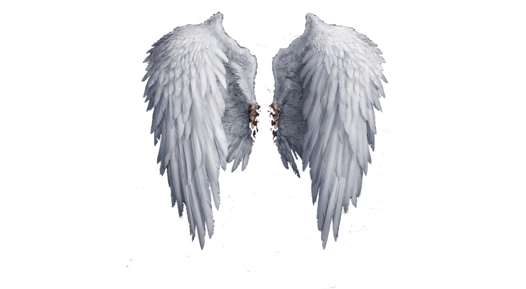 Angel Wings Png Photo - Free Png Angel Wings Clipart (1024x576), Png Download