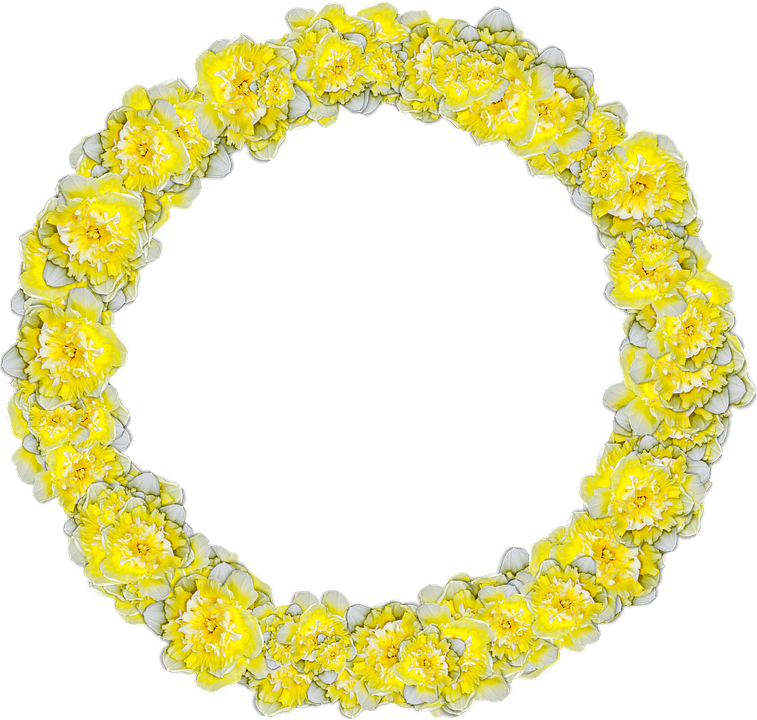 Daffodils, Circle, Narcissus, Decor, Graphics - Daffodil Circle Clipart (757x720), Png Download