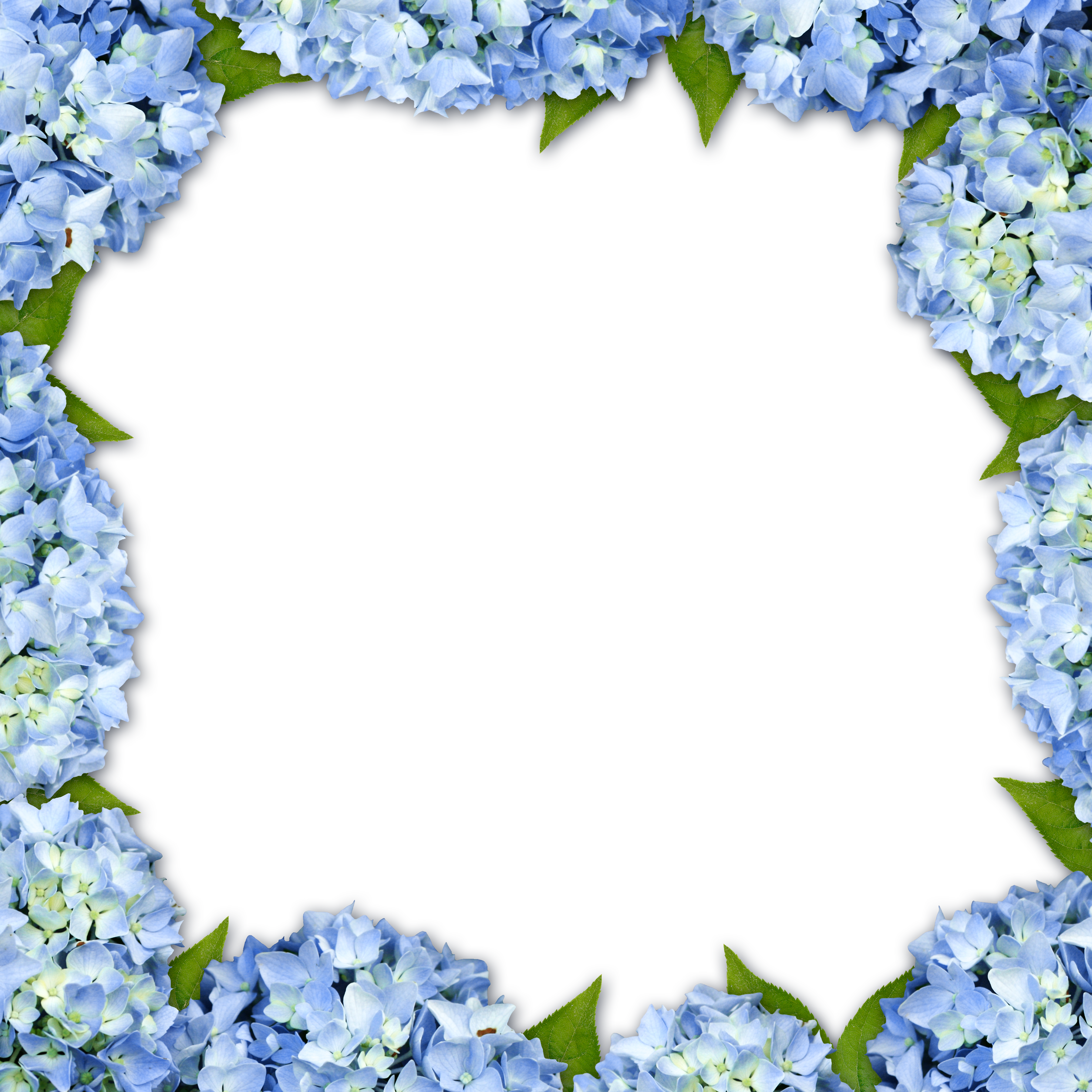 Flower Border Png Blue Clipart (3600x3600), Png Download