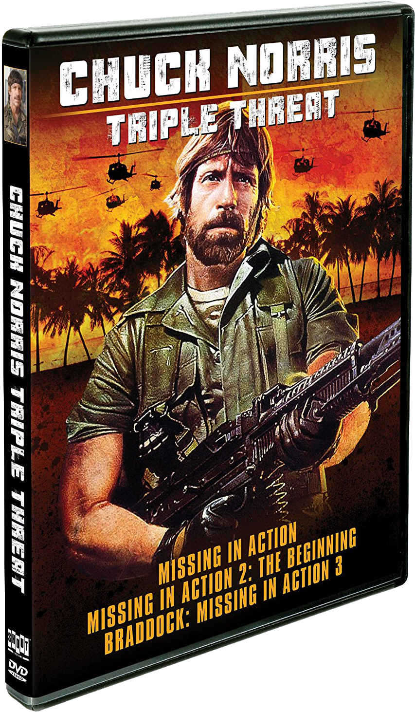 Chuck Norris - Chuck Norris Triple Threat Clipart (878x1500), Png Download