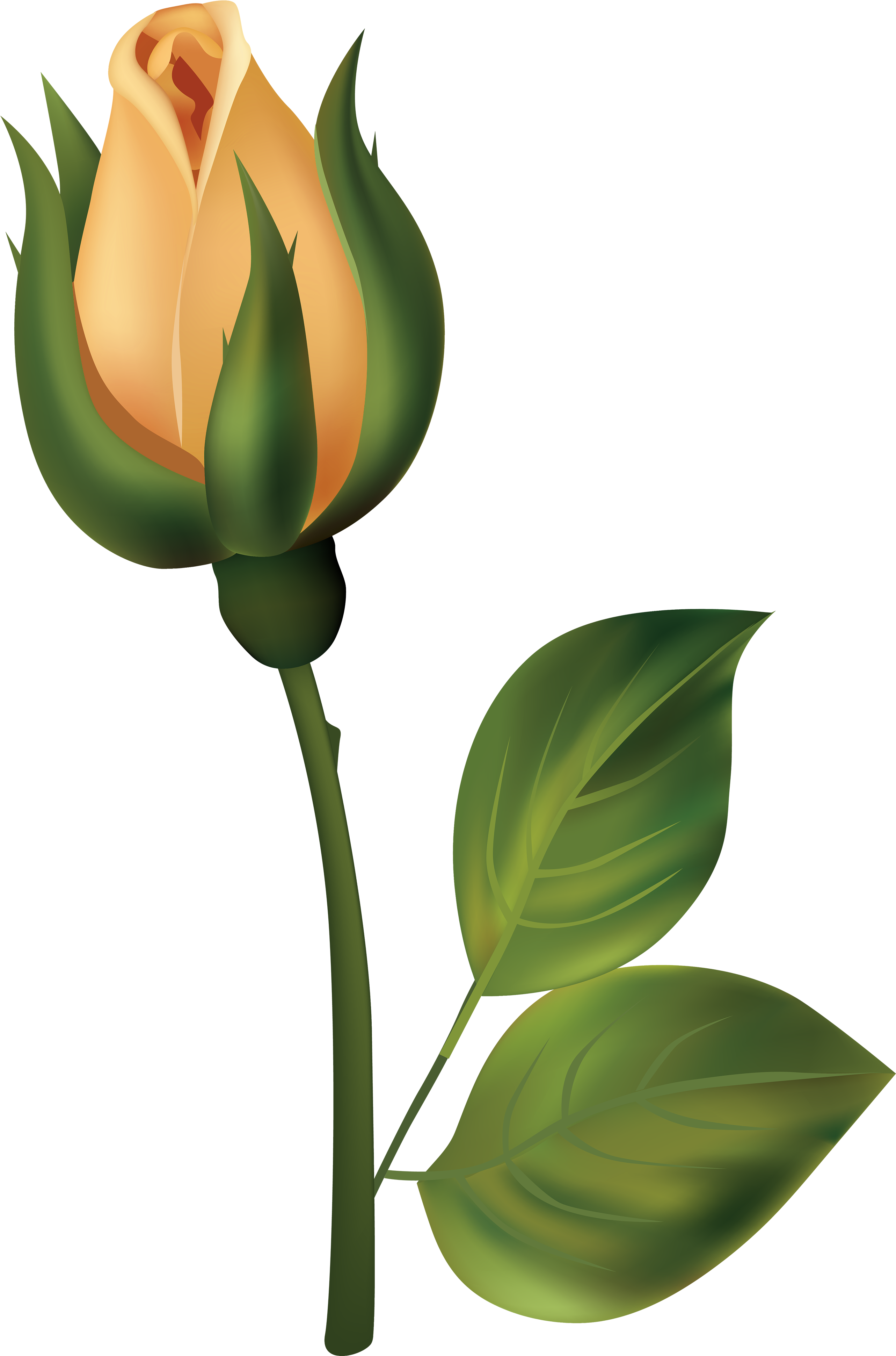 Yellow Rose Bud Png Clipart - Capullo De Rosa Dibujo Transparent Png (2644x4000), Png Download