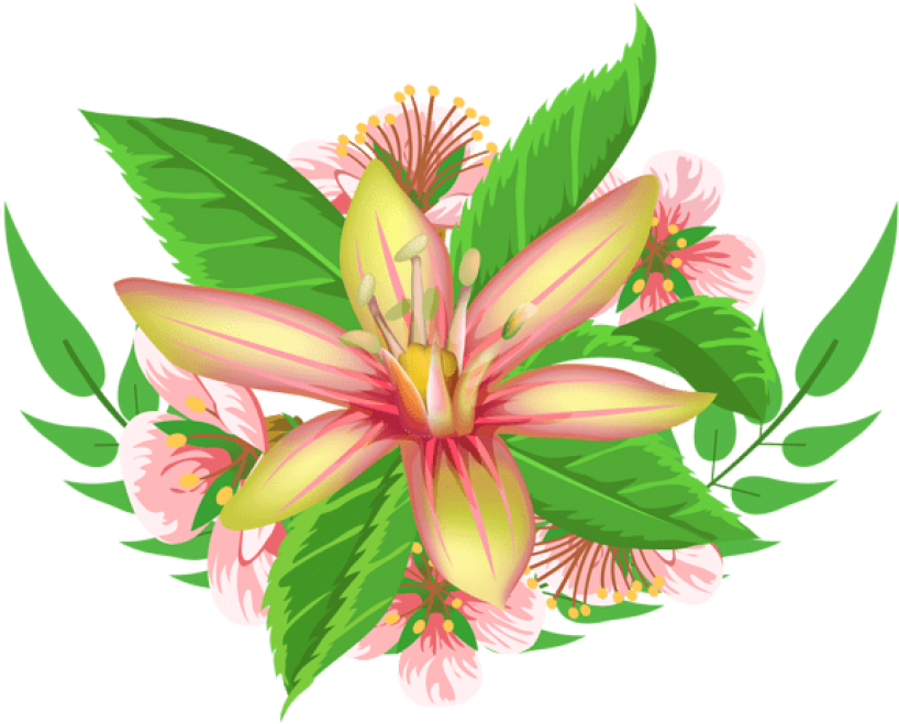 Free Png Download Yellow Flower Decorative Element - Flower Clipart (850x692), Png Download