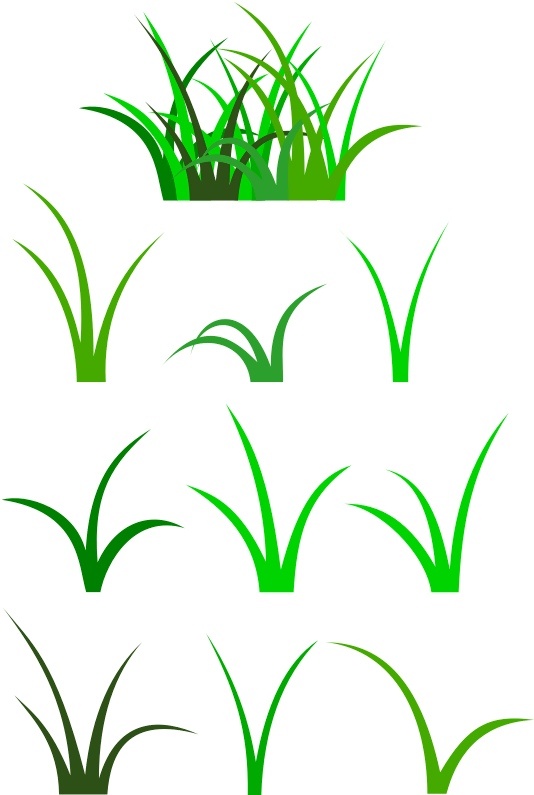 Grass - Blades Of Grass Cartoon Clipart (571x800), Png Download