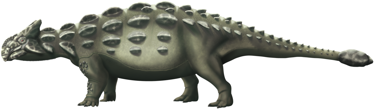Free Download Dinosaur Clipart Stegosaurus Ankylosaurus - Png Download (1490x436), Png Download