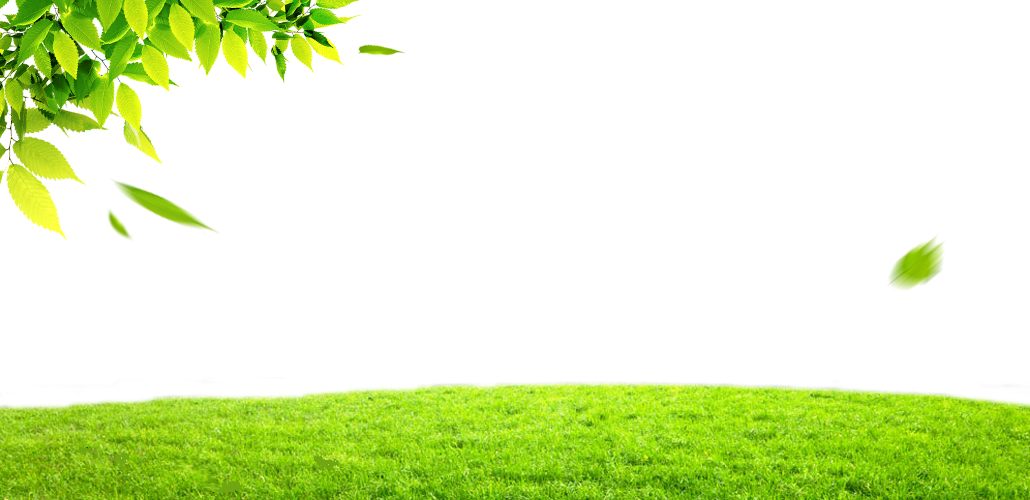 1030 X 500 5 - Grass Clipart (1030x500), Png Download