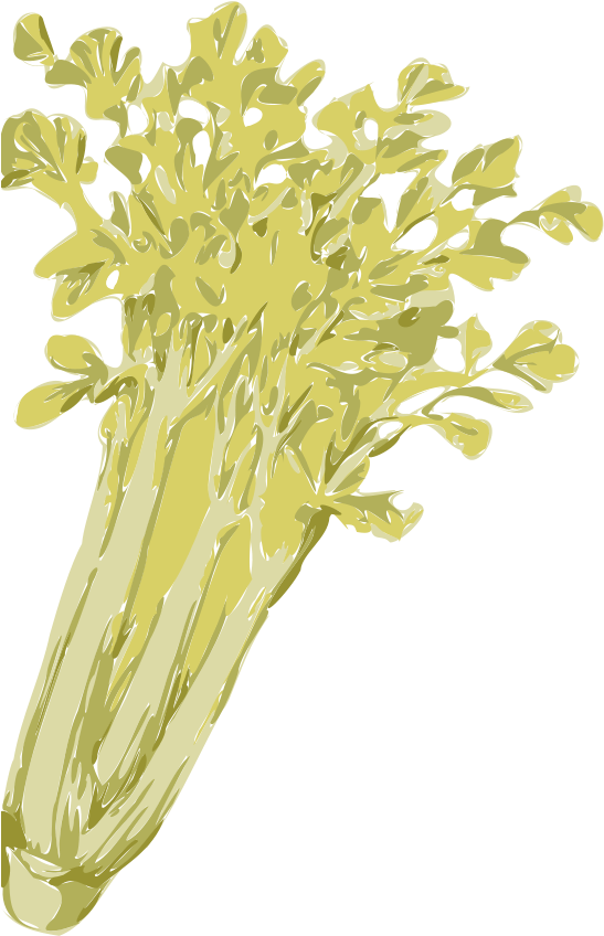 Celery Png Clipart (565x900), Png Download