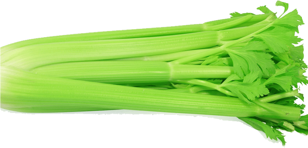 Celery - French Celery Clipart (1000x1000), Png Download