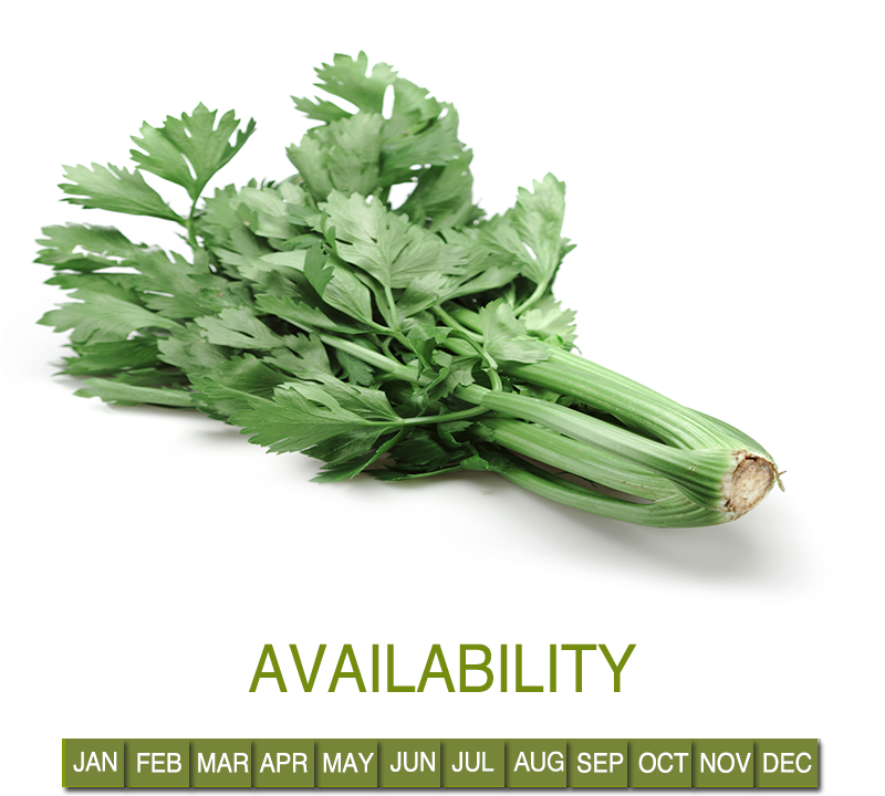 Request Information - Parsley Clipart (800x820), Png Download