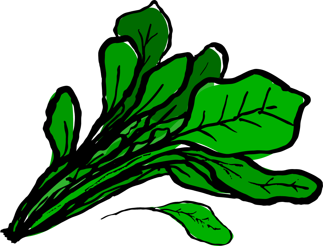 Spinach Clipart At Getdrawings - Clip Art Spinach - Png Download (1081x825), Png Download