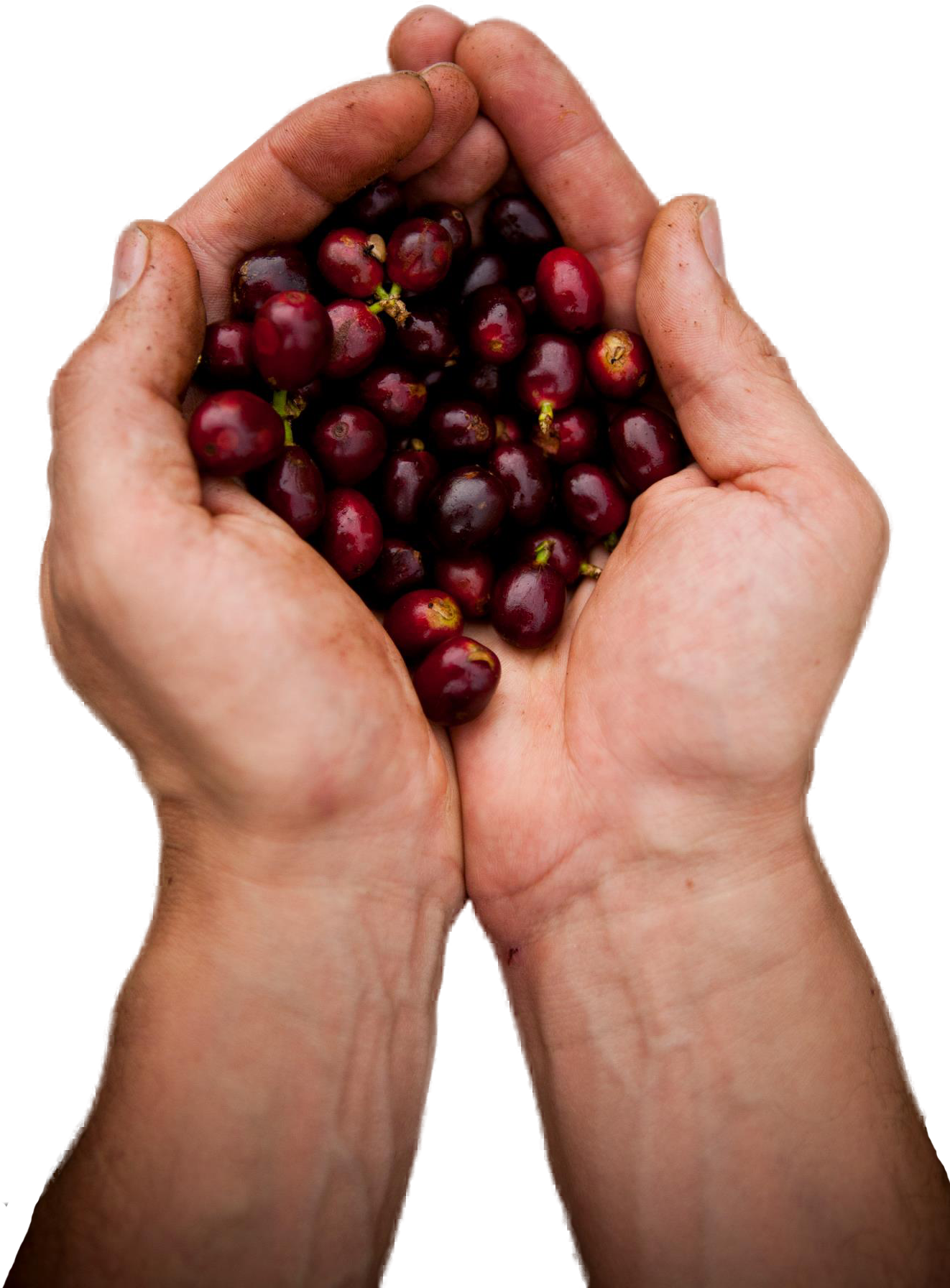 Viagra Natural Herbolario - Superfood Clipart (1365x2048), Png Download