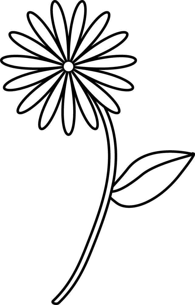 Free Pictures Of Drawings - Simple Flower Line Drawing Clipart (642x1007), Png Download