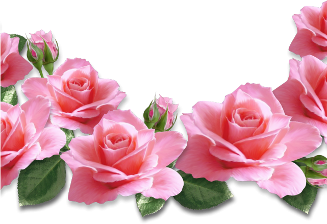 Rose Clipart Transparent Background - Bunga Mawar Pink Png (640x480), Png Download