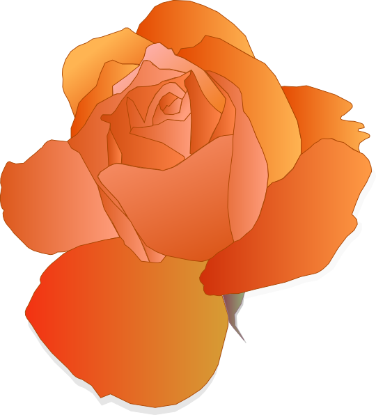 How To Set Use Orange Rose Icon Png Clipart (540x596), Png Download