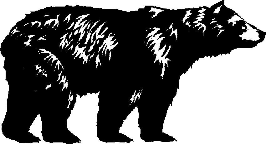 Black And White Bear Png Clipart (1010x633), Png Download