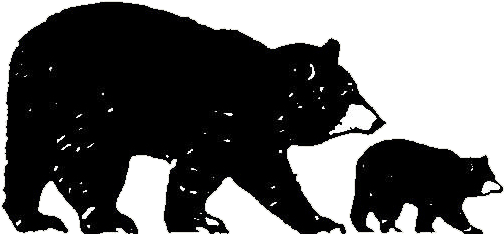 Bear Logo Ll Transparent - Long Lake Clipart (586x586), Png Download