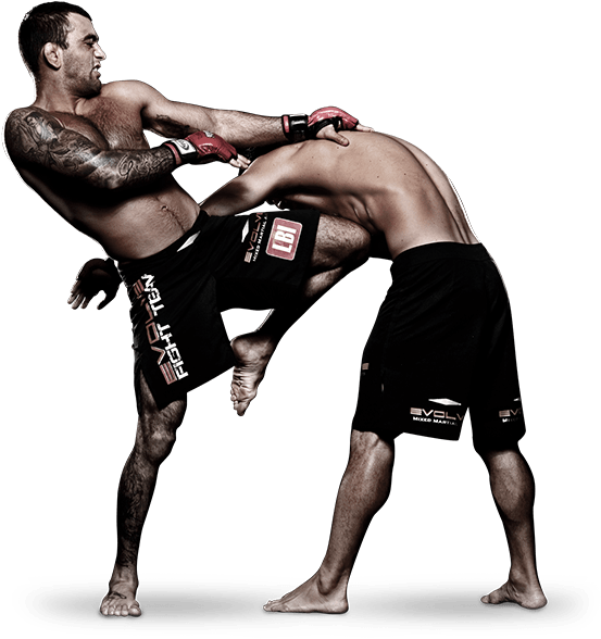 Mixed Martial Arts Fight Png Pic - Mixed Martial Arts Png Clipart (600x600), Png Download