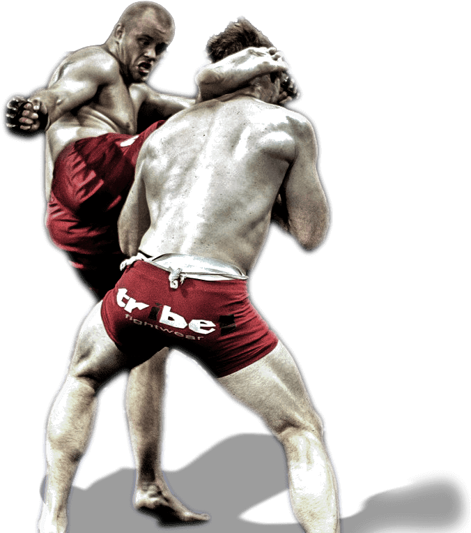 Mixed Martial Arts Fight Png Image - Mixed Martial Arts Transparent Clipart (830x784), Png Download