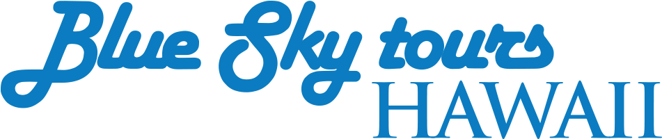 Blue Sky Tours Logo Clipart (950x700), Png Download
