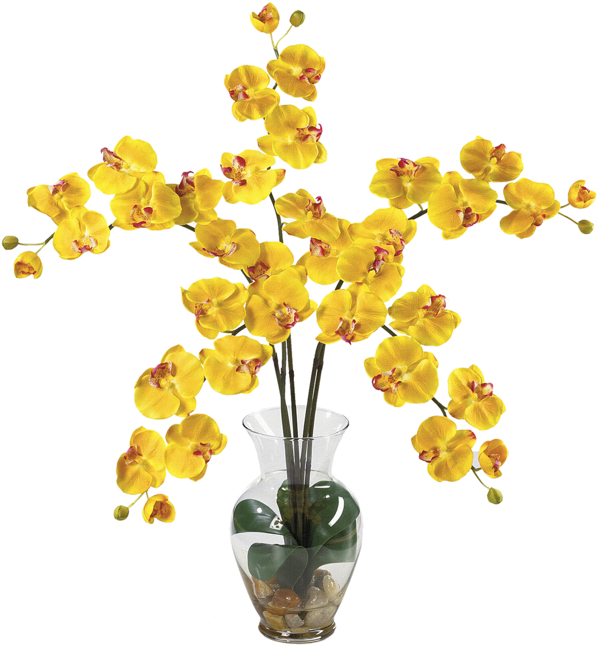 Classical Flower Vase Png Clipart - اوركيد اصفر Png Transparent Png (1280x1280), Png Download