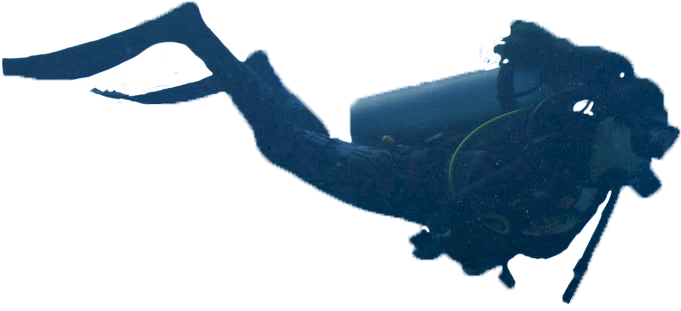 Person Scuba Diving Png Clipart (828x552), Png Download