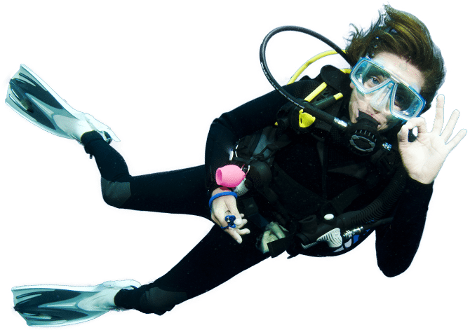 Diver Png - Diver Transparent Clipart (726x470), Png Download