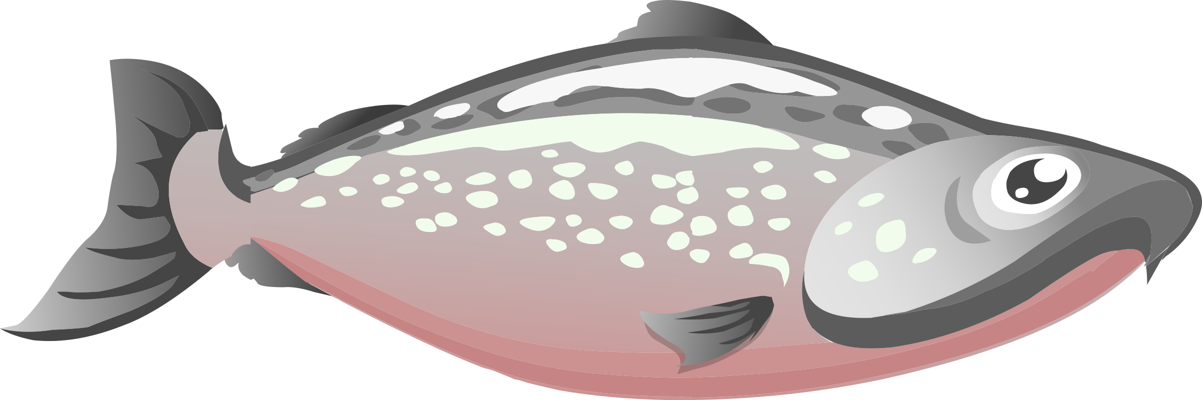 Glitch Clipart Underwater - Salmon Clipart Png Transparent Png (2400x800), Png Download