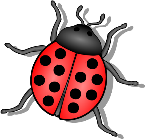 Bug Png Clipart (555x785), Png Download