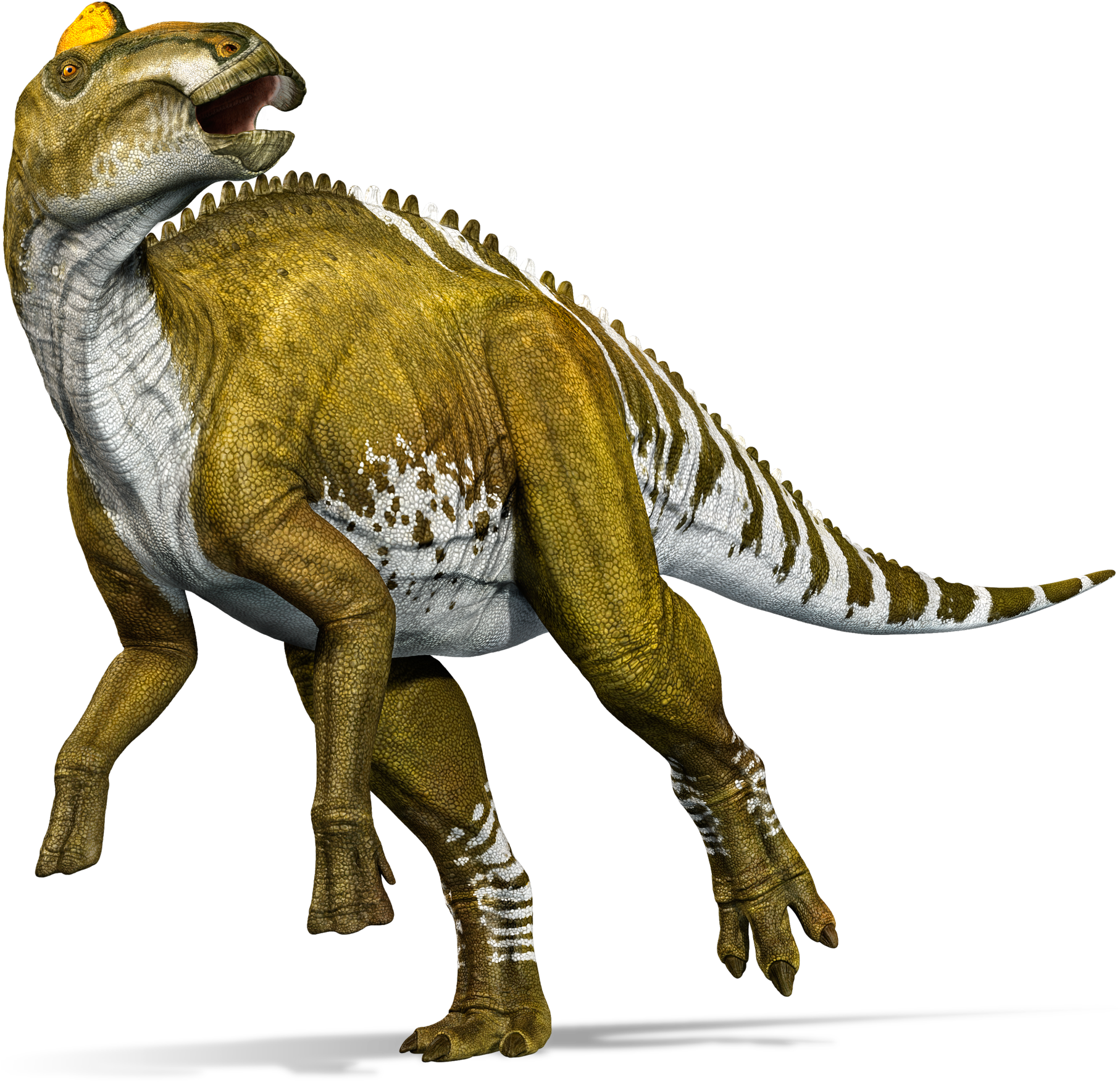 Ähnliches Foto Dinosaur Projects, Jurassic World, Jurassic - Edmontosaurus Dinosaur Clipart (1920x1855), Png Download
