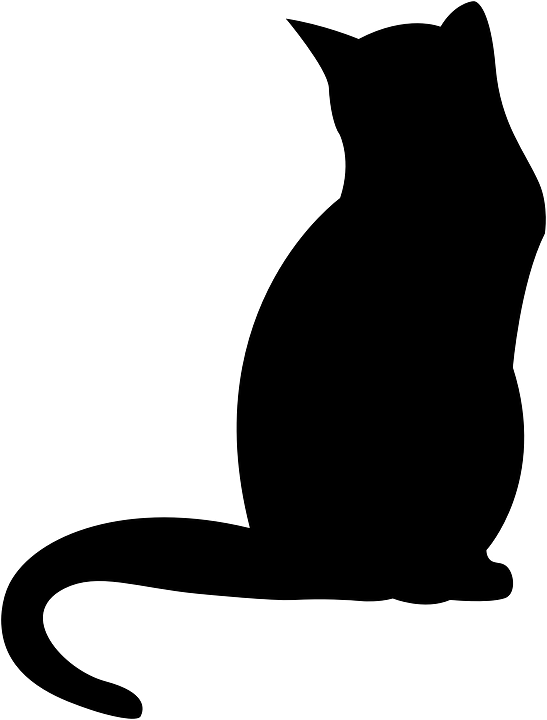 Free Images On Pixabay - Sombra De Un Gato Clipart (547x720), Png Download