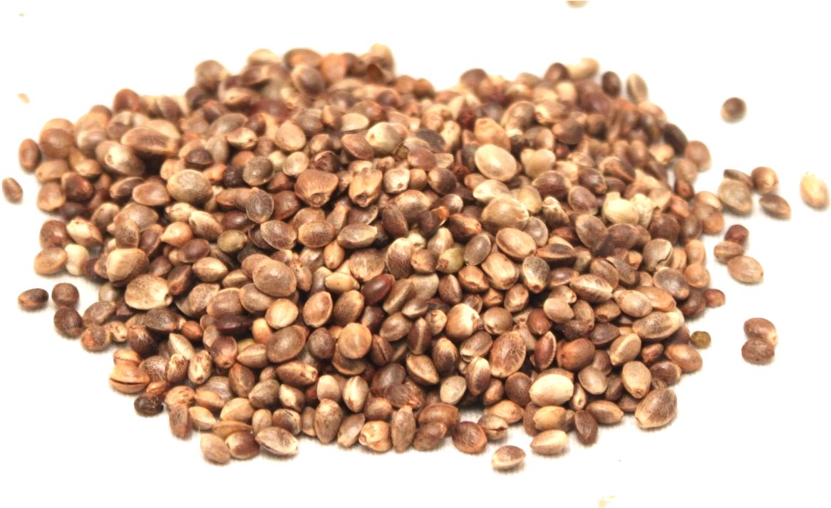 Hemp Seeds Png Picture - Buckwheat Groats Clipart (1191x712), Png Download