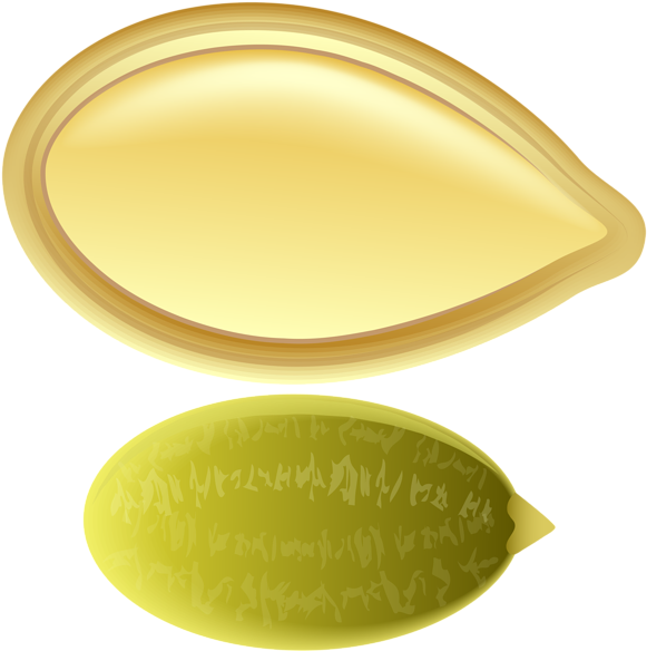Pumpkin Seed Png Clip Art - Pumpkin Seed Clip Art Transparent Png (590x600), Png Download