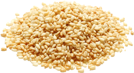 Sesame Seeds Resolution - White Sesame Seeds Png Clipart (600x600), Png Download