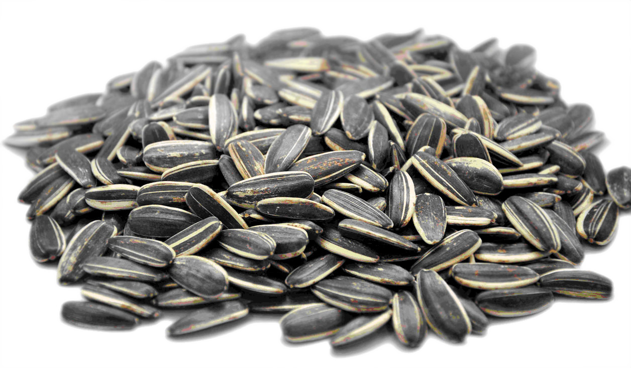 Download Png Image Report - Sunflower Seeds Calories Clipart (1256x733), Png Download