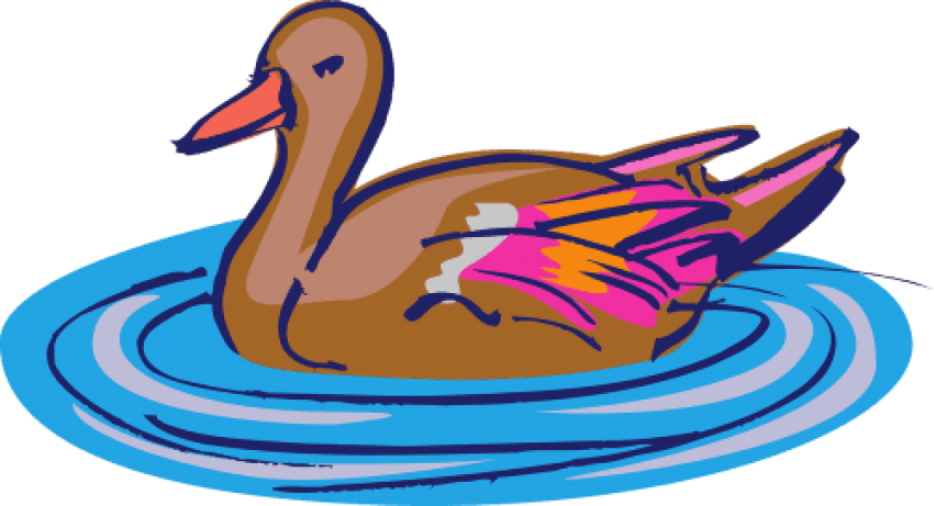 Free Png Download Duck Swimming Png Images Background - Clip Art Duck In Water Transparent Png (850x461), Png Download