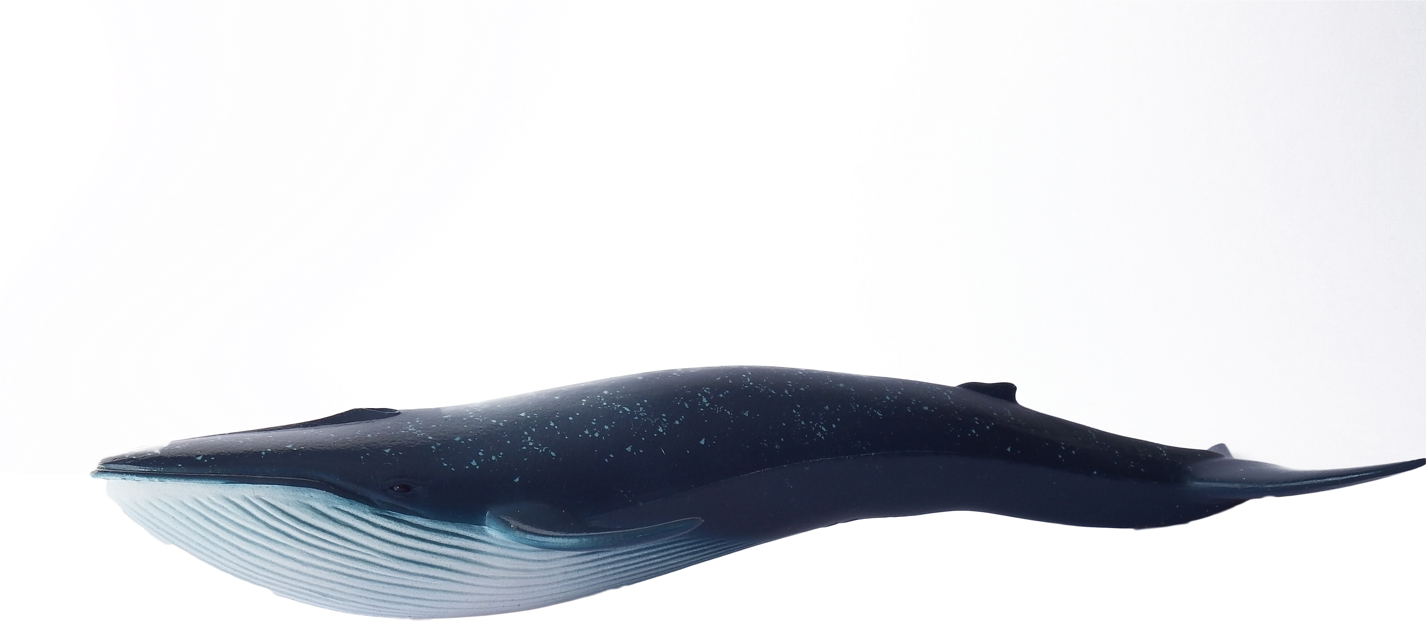 Whale Blue Swimming - Blue Whale Clipart (4608x3072), Png Download