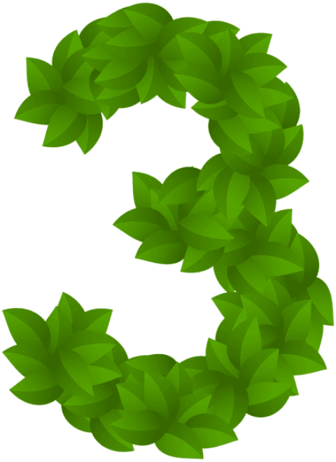 Free Png Download Leaf Number Three Green Clipart Png - Leaf Numbers Green Png Transparent Png (480x660), Png Download