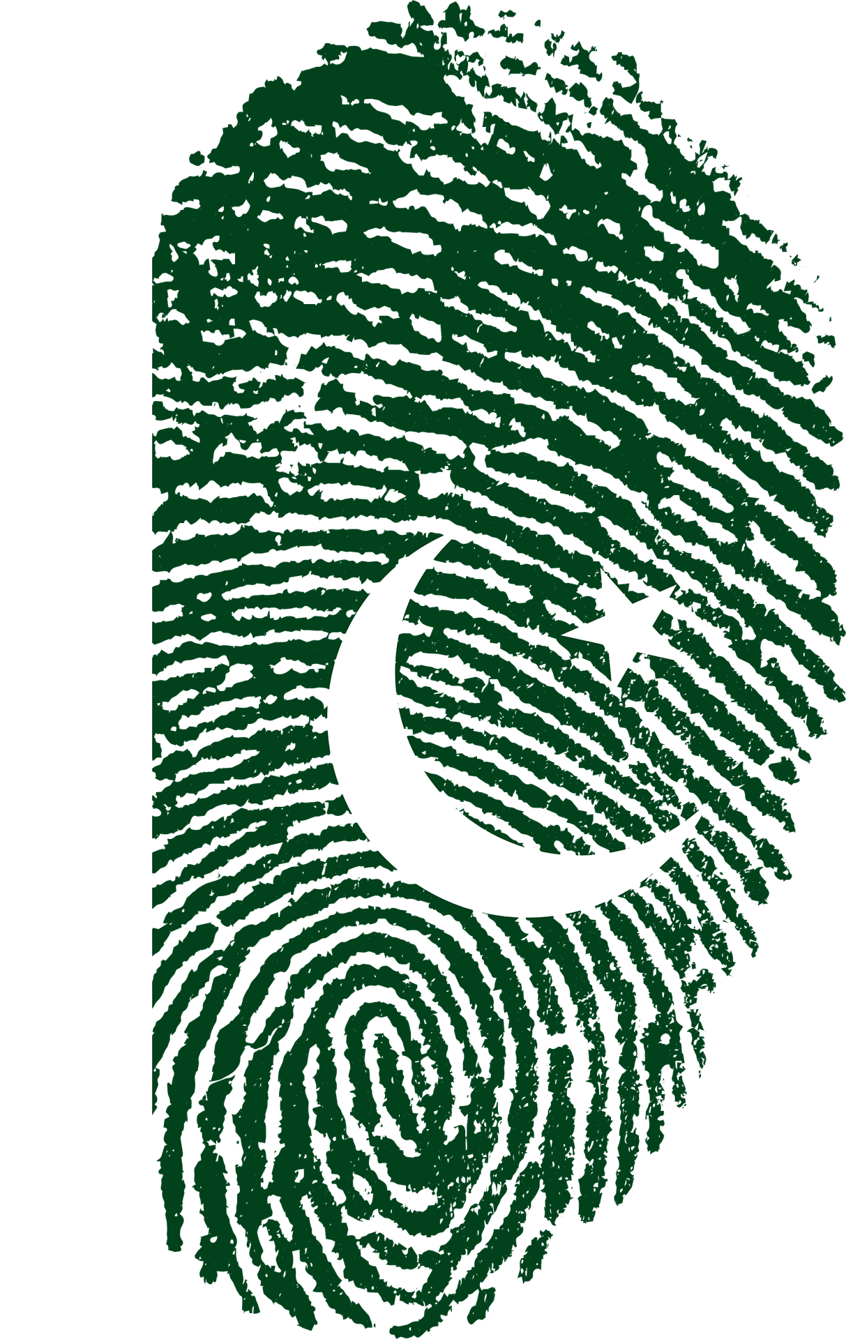 Make America Great Again To The Exclusion Of Muslims - Pakistan Fingerprint Clipart (1213x1920), Png Download