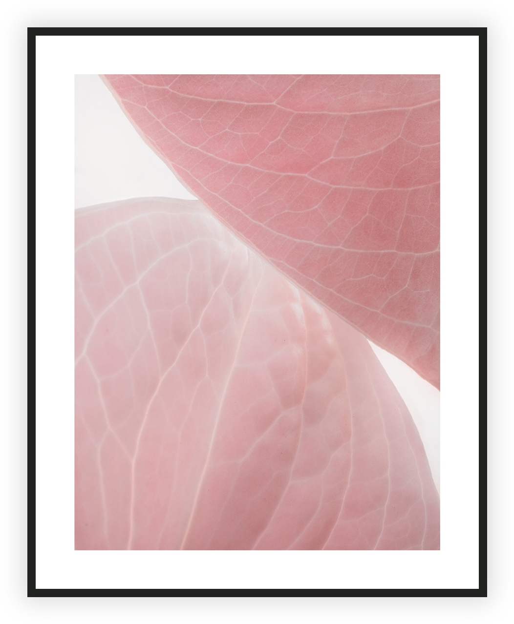 Home/nature/natural Shapes I - Visual Arts Clipart (1063x1289), Png Download