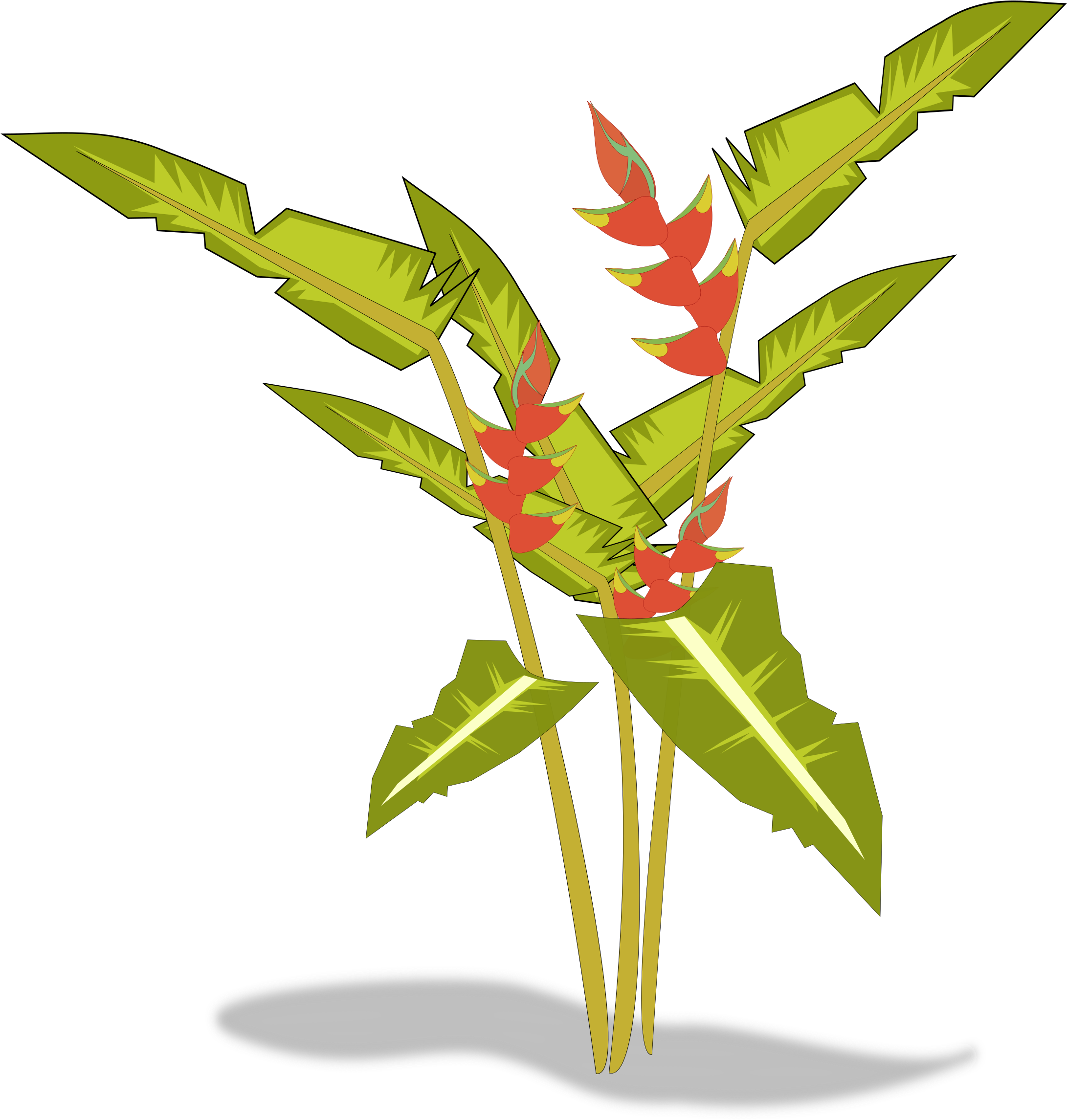 Big Image - Heliconia Png Clipart (2400x2400), Png Download